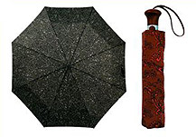 LEON umbrella